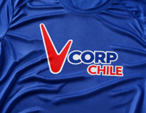 polera estampada serigrafia